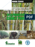 la cacha de azucar.pdf