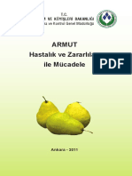 Armut Hastaliklari