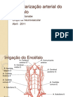 Vascularização+arterial+do+encéfalo