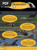 Download Muscles Used When Playing Soccer by NoMaxShred SN335386658 doc pdf
