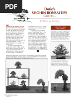 Shohin Bonsai Article