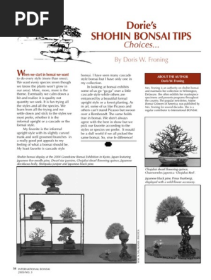 Shohin Bonsai Insights and Styles | PDF | Bonsai | Pine