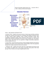 Sistem Hormon (Endokrin)