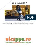 WWW - Nicepps.ro 16466 Molusca