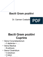 BGP 1 Corynebacterium Curs