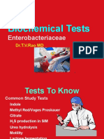 Biochemical Tests: Enterobacteriaceae