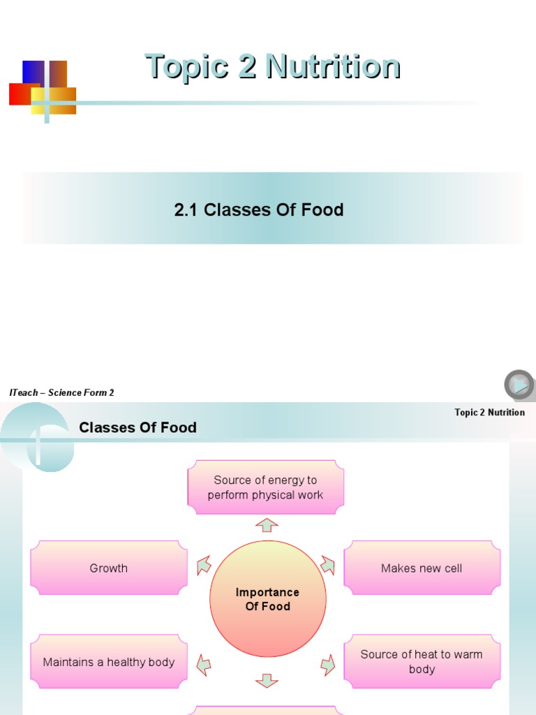 Chapter 2 Classes of Food PDF