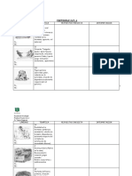 Myslide - Es - Protocolo Cat A PDF