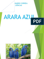 Arara