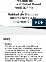 Dirección de Responsabilidad Penal Juvenil (DRPJ)