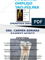 Pulpa Dental