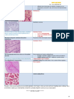 HEAD AND NECK 1.robbins & Cotran Pathologic Basis of Disease Reviewer