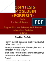 Biosintesis Hemoglobin