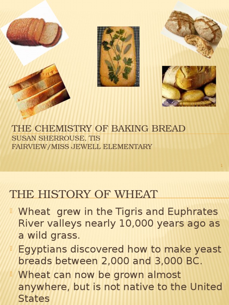The Chemistry of Baking Bread: Susan Sherrouse, Tis Fairview/Miss ...