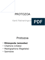 Protozoa Usus 2014