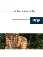 tara 1.pdf