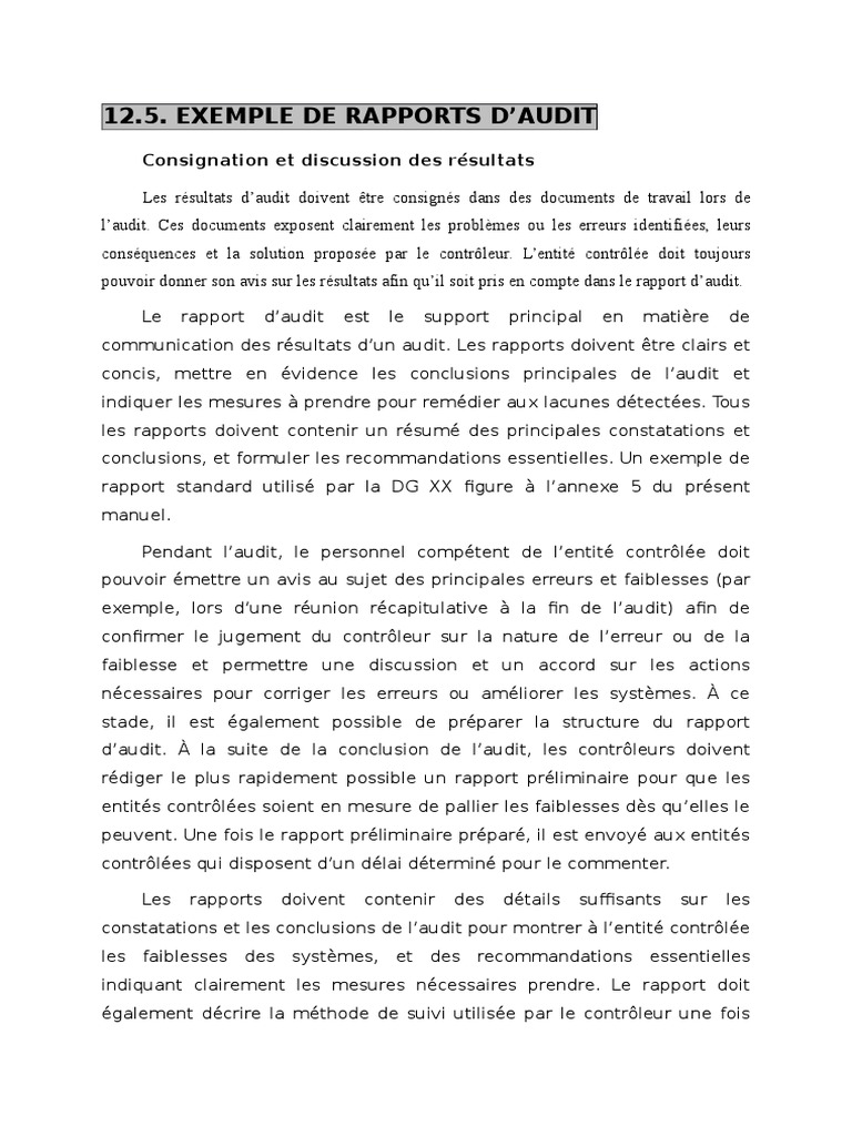 Modéle de Rapport d'Audit Interne  Audit  Business