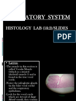 Histology Lab Slides 1 Rs