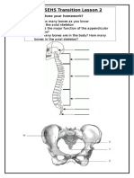 Lesson 2 Transitionreview