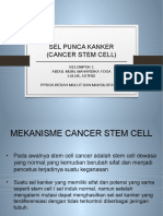 CANCER STEM CELL KLOMPOK 1 PA.pptx