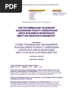 Comunhão Com o Divino