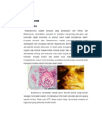 6 - Blastomycosis