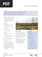 Environmental and Social Impact Assessment (Esia)