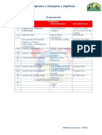 Programacion - Cruso de Capitanes