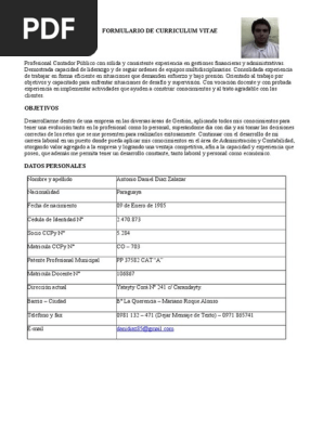 Curriculum Contador Publico Contador Contabilidad