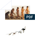 Evolucion y Prismas