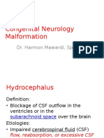 Harmon Mawardi. Congenital Neurology Malformation