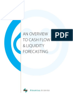 Overview to Cash Flow & Liquidity Forecasting