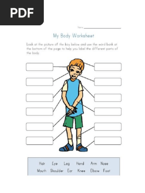 32 Label The Human Body Worksheet - Labels For You