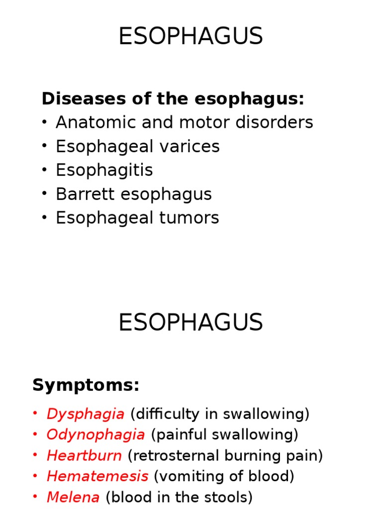 ESOPHAGUS FUNCTION AND ASSOCIATED CONDITIONS visual data 3