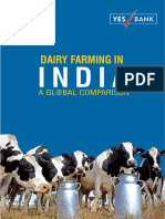 Dairy Farming in India - A Global Comparison