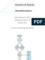 Mechanism of Toxicity