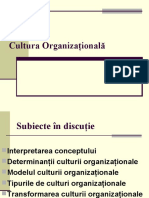 Cultura Organizaţională Fin
