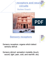 05c Sensory Receptors