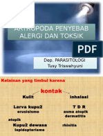 Artropoda Penyebab Alergi Dan Toksik