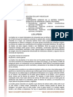 LIPIDOS Y PROTEINAS.pdf