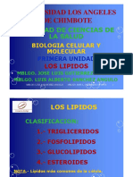 LIPIDOS