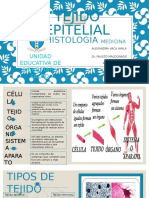 Trabajo Alex Expo, Histo Epitelial