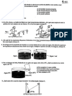 Test 458 Ejemplo PDF