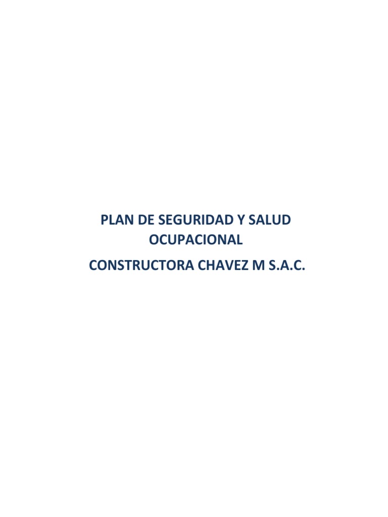 Plan de Seguridad y Salud Ocupacional | PDF | Derecho laboral | La ...