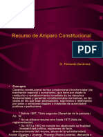 amparo_constitucional.ppt