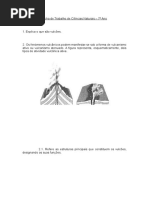 Ficha de Trabalho de Ciências Naturais – 7º Ano (1)