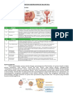 Rangkuman Baru Sistem Reproduksi Manusia