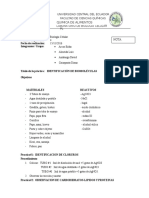 Informe Biomoleculas