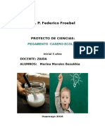 Proyecto de Ciencias Goma