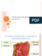 periartrita-scapulo-humerala.pdf